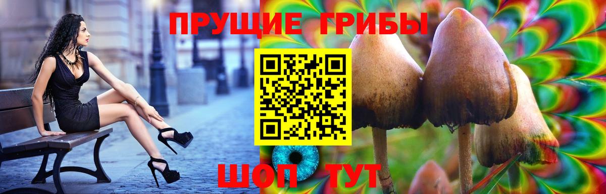 Псилоцибиновые грибы прущие грибы  Галлюциногенные грибы мицелий  Вход с VPN  Юрга 