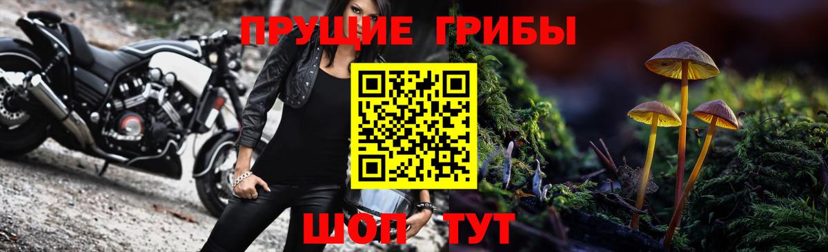 Псилоцибиновые грибы Psilocybe Юрга